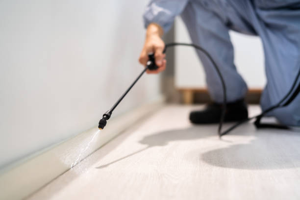 Professional exterminator conducting IPM assessment in Moose Lake